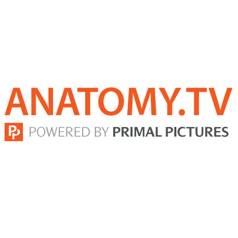 Anatomy.tv logo