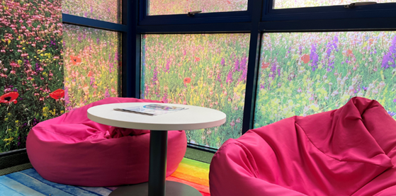 Well being area at Frimley Library